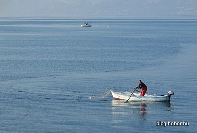 Fishermen in MAKARSKA, Croatia