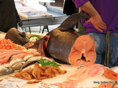 Fish Market in VENICE, Italy