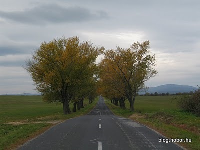 Near HAJMASKÉR, Hungary